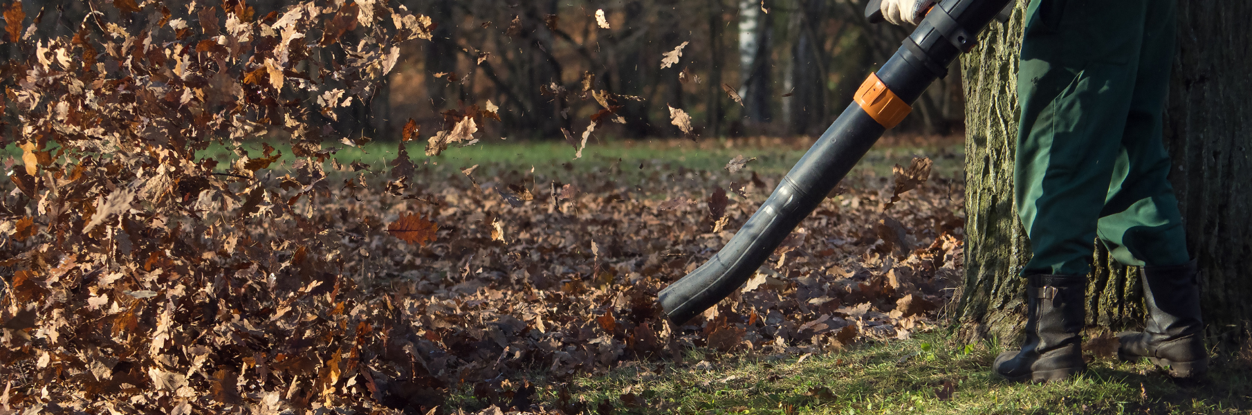 leaf removal