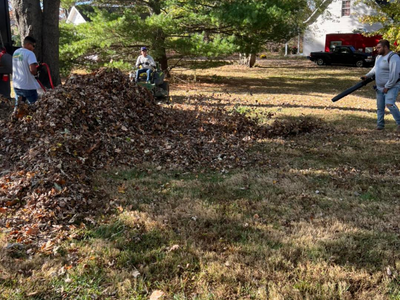 leaf removal 