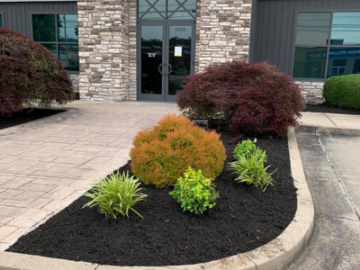 flower bed outside of commercial building 